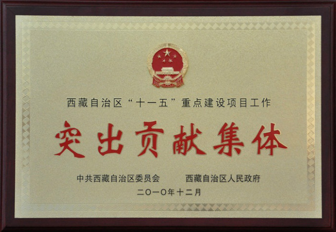 2010西藏自治區(qū)“十一五”重點(diǎn)建設(shè)項(xiàng)目工作突出貢獻(xiàn)集體